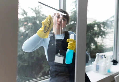 Nettoyage de vitres intérieures et extérieures à Lamontgie